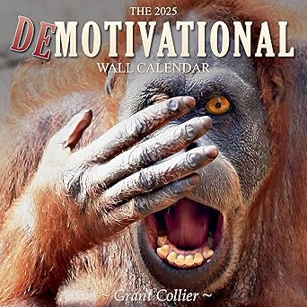 the 2025 demotivational wall calendar 1st edition grant collier 1935694898, 978-1935694892