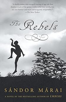 the rebels 1st edition sandor marai 0375707417, 978-0375707414