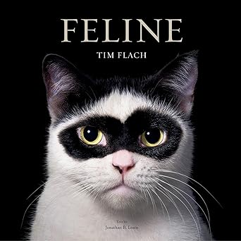 feline photographs 1st edition tim flach ,jonathan losos 141977364x, 978-1419773648