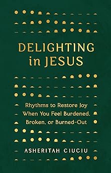 delighting in jesus rhythms to restore joy when you feel burdened broken or burned out 1st edition asheritah