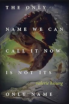 the only name we can call it now is not its only name 1st edition valerie hsiung 1933996781, 978-1933996783