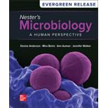 loose leaf for nesters microbiology a human perspective 2024 release 1st edition denise g anderson ,sarah