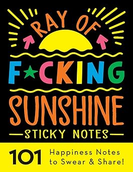 ray of f cking sunshine sticky notes 101 happiness notes to swear and share a funny and inspirational white