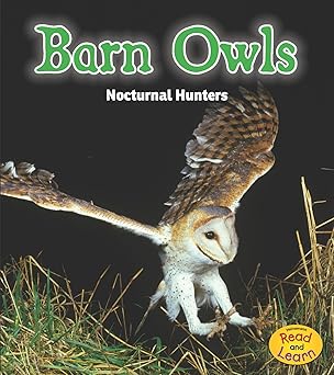 barn owls nocturnal hunters 1st edition rebecca rissman 1484603168, 978-1484603161