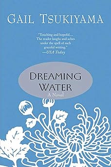 dreaming water 1st edition gail tsukiyama 0312316089, 978-0312316082