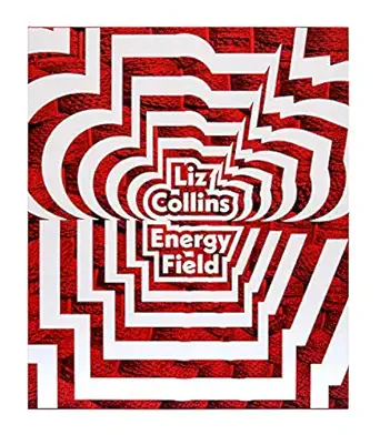 liz collins a energy field 1st edition liz collins ,ian berry and molly channon 0998242217, 978-0998242217