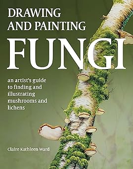 drawing and painting fungi an artists guide to finding and illustrating mushrooms and lichens 1st edition