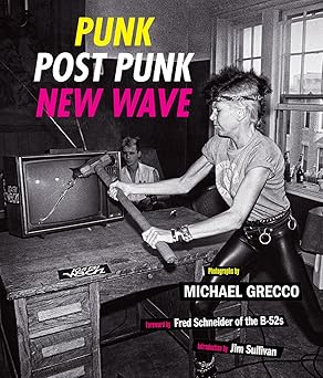 punk post punk new wave onstage backstage in your face 1978 1991 1st edition michael grecco ,jim sullivan