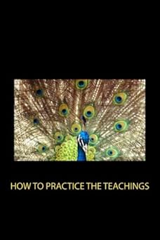 how to practice the teachings 1st edition michael langford 1937995747, 978-1937995744