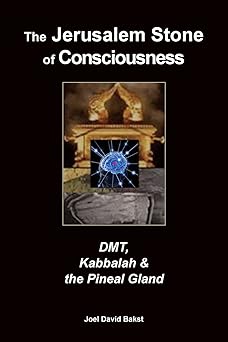 the jerusalem stone of consciousness dmt kabbalah and the pineal gland 1st edition joel david bakst