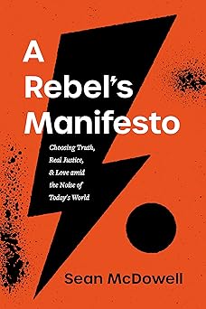 a rebels manifesto choosing truth real justice and love amid the noise of todays world 1st edition sean