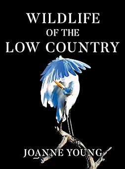 wildlife of the low country 1st edition joanne young 164704801x, 978-1647048013