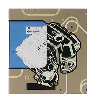 woodtli 1st edition martin woodtli ,gestalten ,michael mischler 3931126552, 978-3931126551