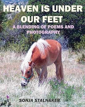 heaven is under our feet poetic creations 1st edition sonja stalnaker 1514824736, 978-1514824733