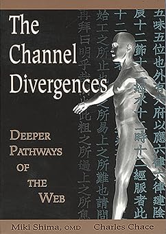 the channel divergences deeper pathways of the web 1st edition miki shima ,charles chace 1891845152,