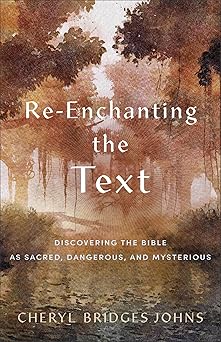 re enchanting the text 1st edition cheryl bridges johns 1540965139, 978-1540965134