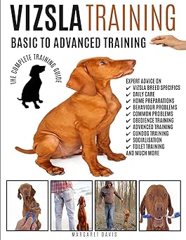vizsla training basic to advanced training the complete training guide 1st edition margaret davis 191091522x,