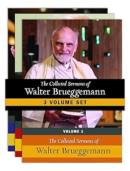 the collected sermons of walter brueggemann three volume set 1st edition walter brueggemann 0664266657,