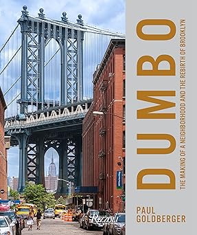 dumbo the making of a new york neighborhood 1st edition paul goldberger 0847865452, 978-0847865451