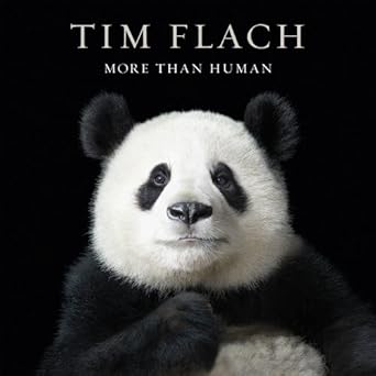 more than human 1st edition lewis blackwell ,tim flach 1419705520, 978-1419705526