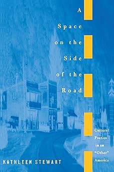 a space on the side of the road 1st edition kathleen stewart 0691011036, 978-0691011035