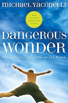 dangerous wonder 1st edition michael yaconelli 1576834816, 978-1576834817