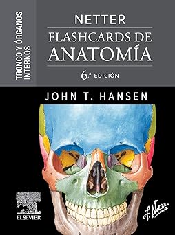 netter flashcards de anatoma a tronco y a rganos internos 1st edition john t hansen phd 8413823951,