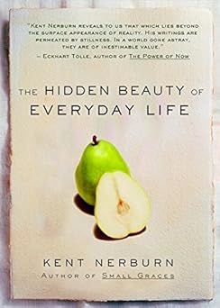 the hidden beauty of everyday life 1st edition kent nerburn 1577315308, 978-1577315308