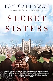 secret sisters a novel 1st edition joy callaway 006239164x, 978-0062391643
