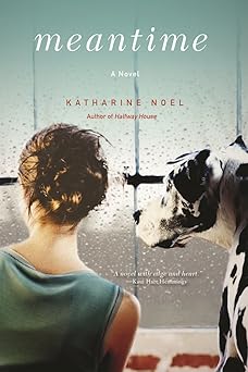 meantime a novel 1st edition katharine noel 0802125492, 978-0802125491