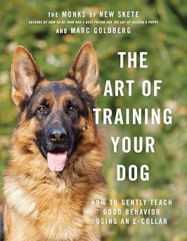 the art of training your dog how to gently teach good behavior using an e collar 1st edition monks of new