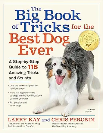 the big book of tricks for the best dog ever a step by step guide to 118 amazing tricks and stunts 1st