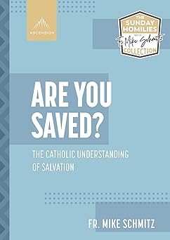 are you saved the catholic understanding of salvation 1st edition fr mike schmitz 1954882041, 978-1954882041