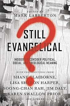still evangelical insiders reconsider political social and theological meaning 1st edition mark labberton