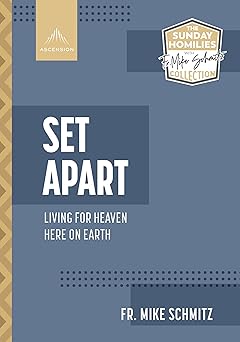set apart living for heaven here on earth 1st edition fr mike schmitz 1954882963, 978-1954882966