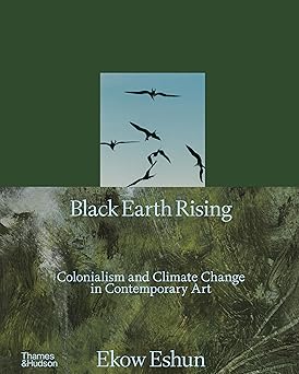 black earth rising colonialism and climate change in contemporary art 1st edition ekow eshun ,anna arabindan