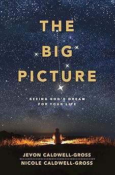 the big picture 1st edition caldwell gross 1791025951, 978-1791025953