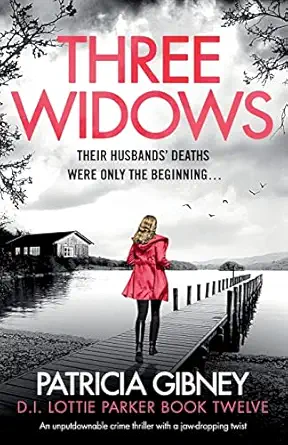 three widows an unputdownable crime thriller with a jaw dropping twist 1st edition patricia gibney