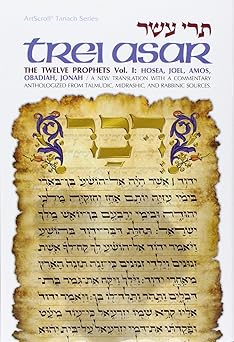 tere asar trei asar the twelve prophets a new translation with a commentary anthologized from talmudic
