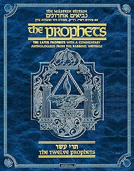 the   of the later prophets the twelve prophets / trei asar 1st edition rabbi menachem davis ,rabbi matis