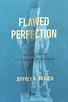 flawed perfection what it means to be human and why it matters for culture politics and law 1st edition