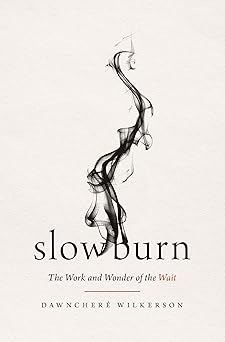 slow burn the work and wonder of the wait 1st edition dawnchere wilkerson 1400345510, 978-1400345519