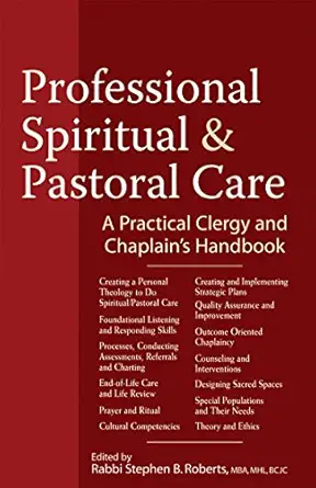 professional spiritual and pastoral care a practical clergy and chaplains handbook 1st edition stephen b