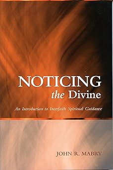 noticing the divine an introduction to interfaith spiritual guidance 1st edition john r mabry 0819222380,