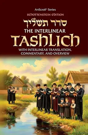 the   interlinear tashlich paperback with interlinear translation commentary and overview 1st edition