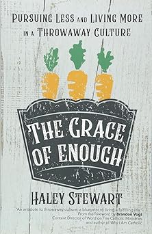 the grace of enough pursuing less and living more in a throwaway culture 1st edition haley stewart ,brandon