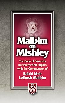 malbim on mishley compact 1st edition rabbi meir leibush malbim ,charles wengrov 1680256092, 978-1680256093