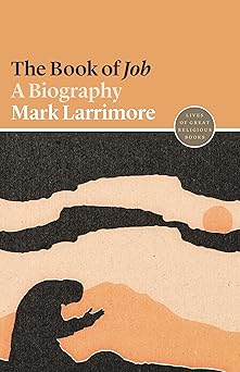 the book of job a biography 1st edition mark larrimore 069120246x, 978-0691202464
