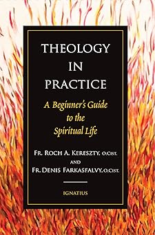 theology in practice a beginners guide to the spiritual life 1st edition fr roch kereszty o cist ,fr denis