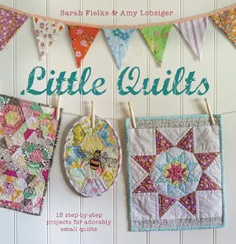 little quilts 15 step by step projects for adorably small quilts 1st edition sarah fielke ,amy lobsiger